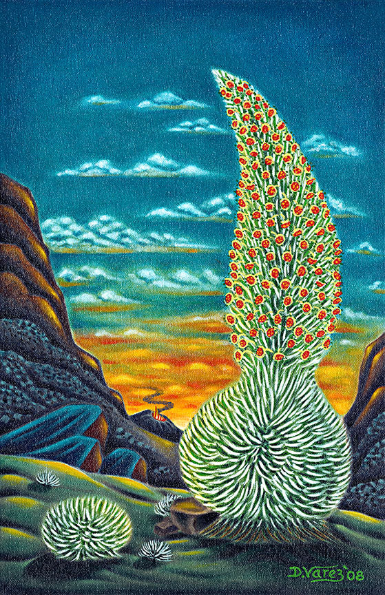 102 Sunset Silversword by Hawaii Artist Dietrich Varez
